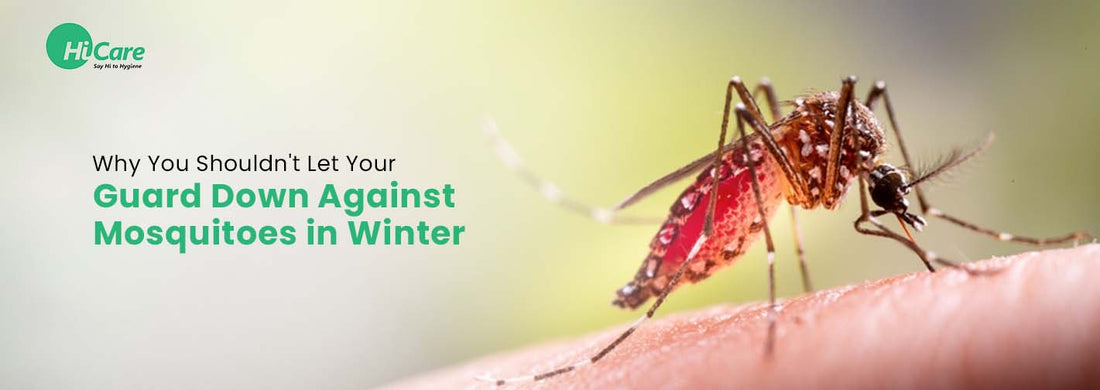 Why You Shouldn't Let Your Guard Down Against Mosquitoes in Winter?