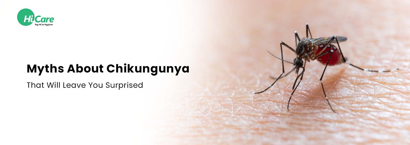 5 Myths About Chikungunya That Will Leave You Surprised
