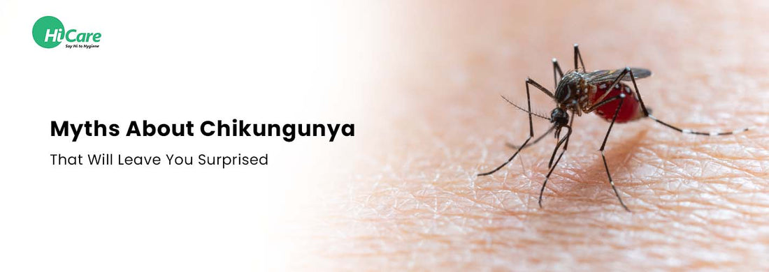 5 Myths About Chikungunya That Will Leave You Surprised