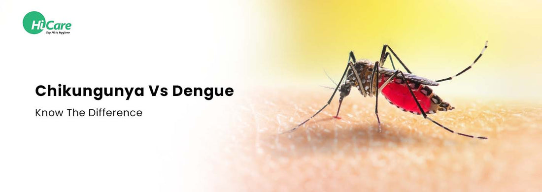 Chikungunya Vs Dengue – Know The Difference