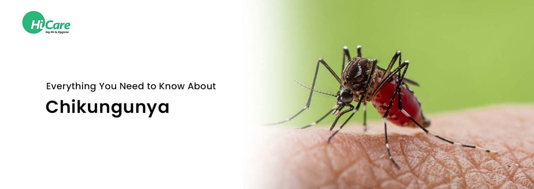 Everything You Need to Know About Chikungunya