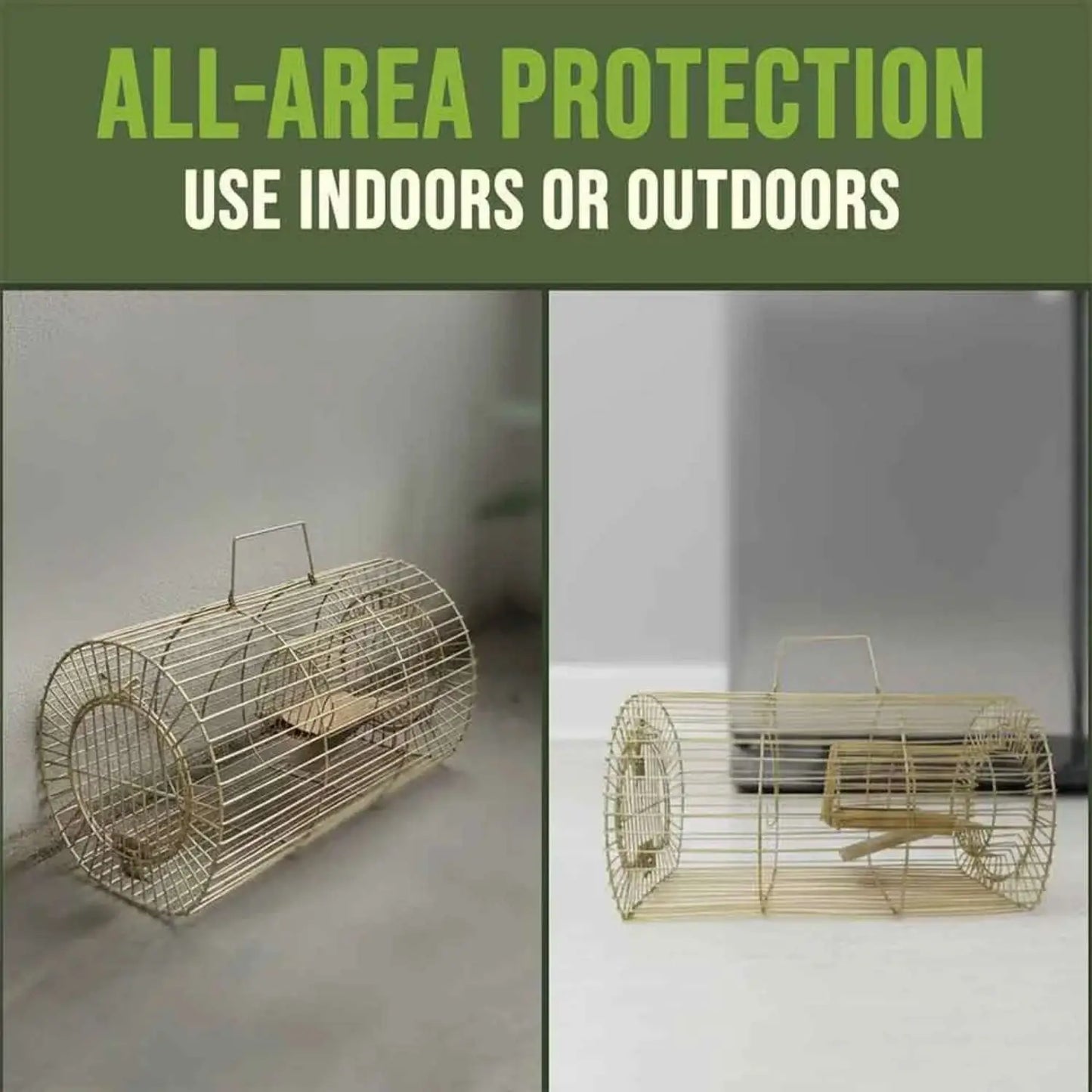 All area protection rat trap cage india