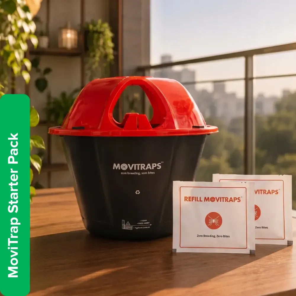 Title: MoviTrap Starter Pack (Tray + 2 Sachets) : The Eco-Friendly Mosquito Breeding Control Device