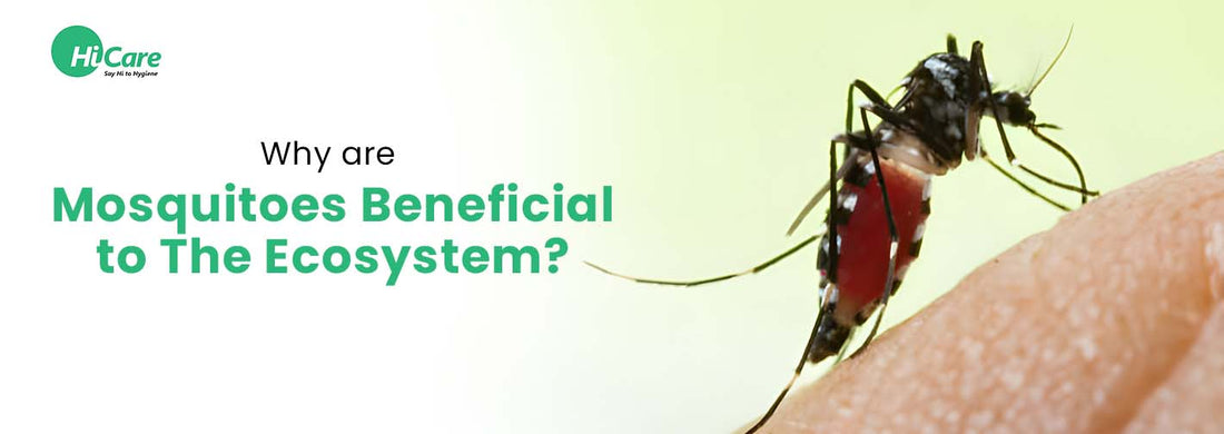 Why are Mosquitoes Beneficial to The Ecosystem?