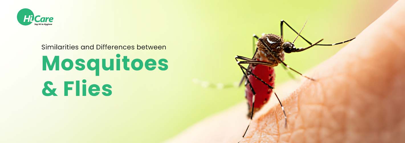 Similarities and Differences between Mosquitoes & Flies