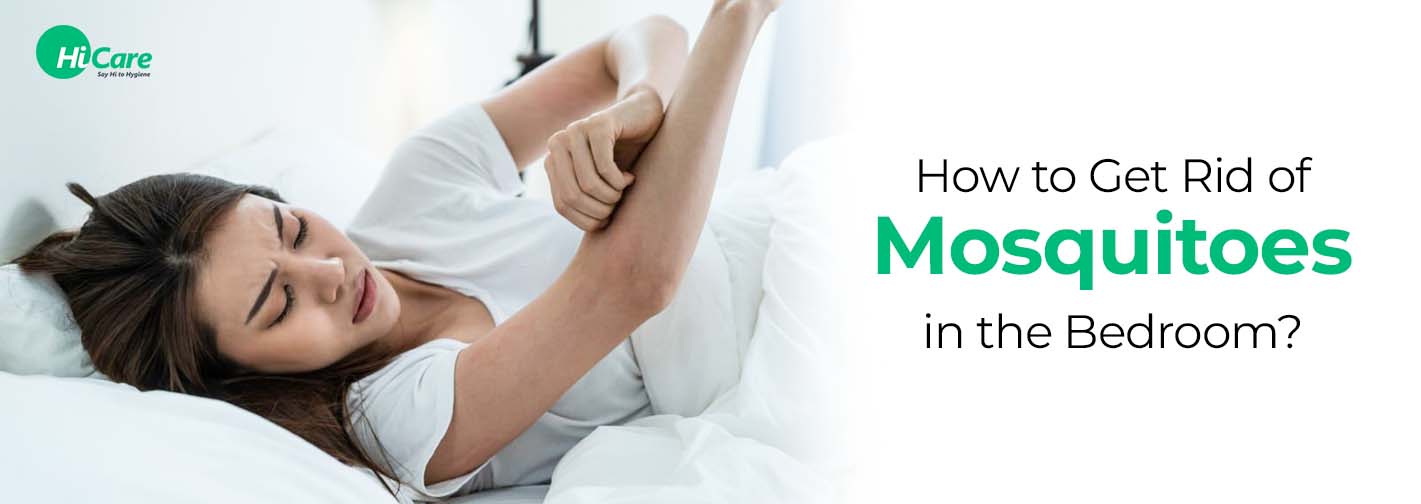 How to Get Rid of Mosquitoes in the Bedroom?