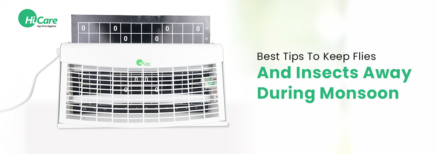 10 Best Tips to Keep Flies and Insects Away During Monsoon