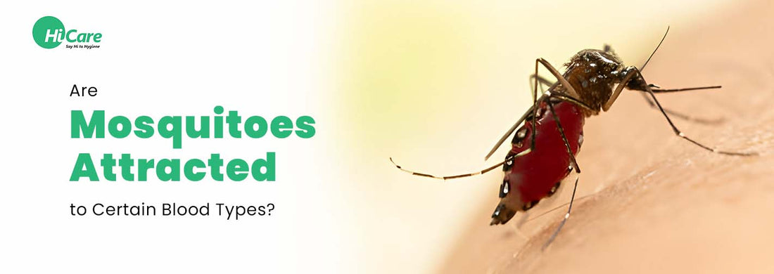 Are Mosquitoes Attracted to Certain Blood Types?