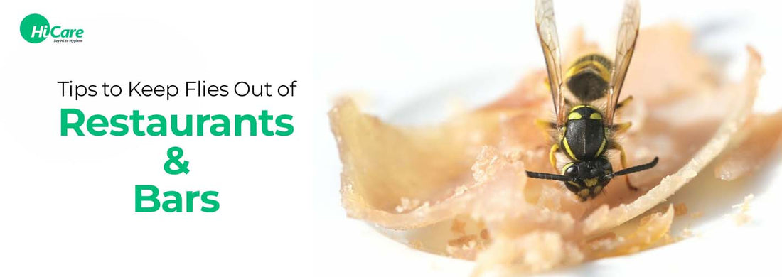7 Tips to Keep Flies Out of Restaurants and Bars