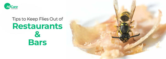 7 Tips to Keep Flies Out of Restaurants and Bars