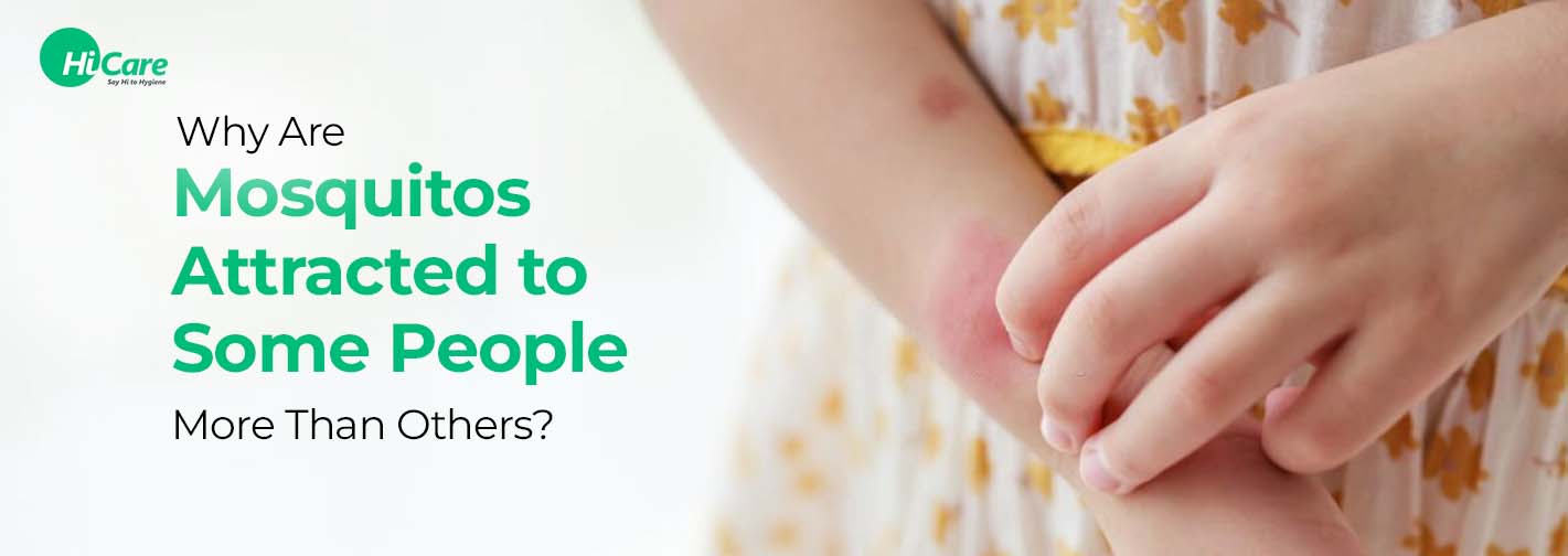 Why Are Mosquitos Attracted to Some People More Than Others?
