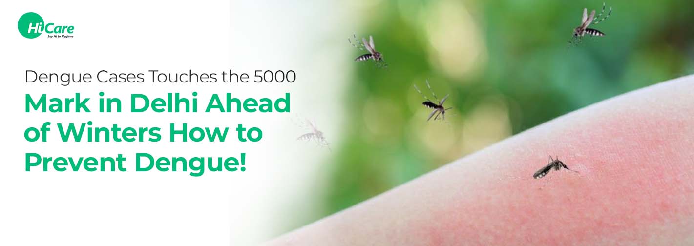 Dengue Cases To Touch the 5000 Mark in Delhi Ahead of Winters- How to Prevent Dengue!