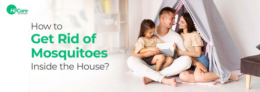 How to Get Rid of Mosquitoes Inside the House?