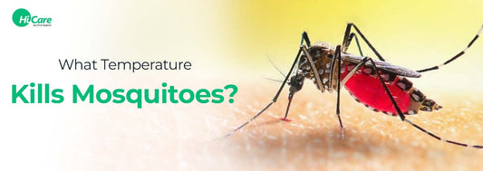 What Temperature Kills Mosquitoes?