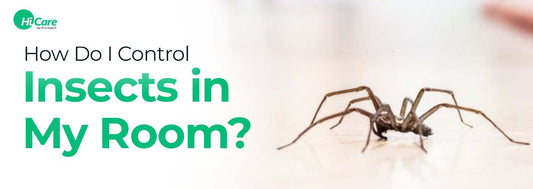 How do I Control Insects in My Room?