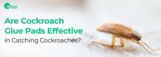 Are Cockroach Glue Pads Effective in Catching Cockroaches?