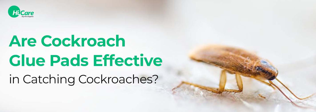 Are Cockroach Glue Pads Effective in Catching Cockroaches?