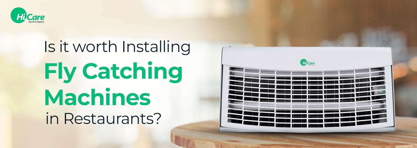 Is it worth Installing Fly Catching Machines in Restaurants?