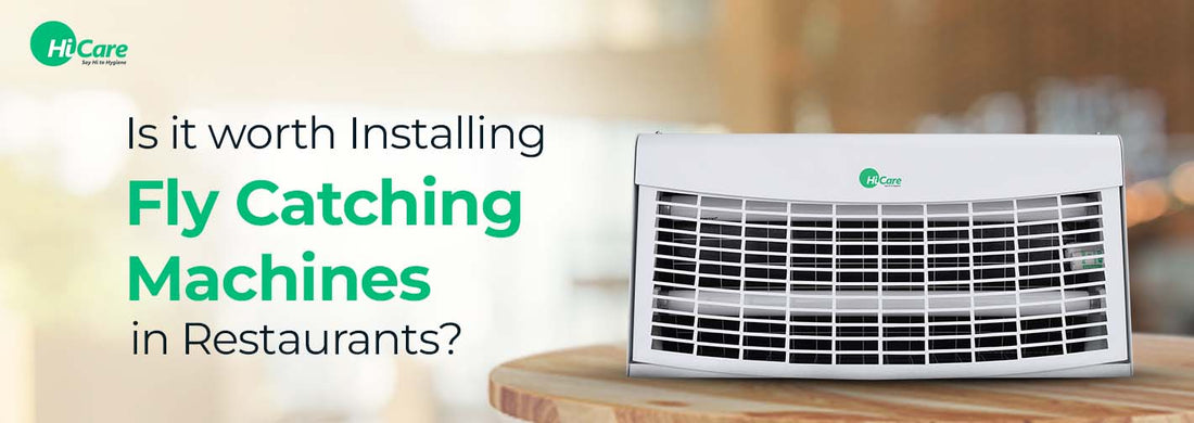 Is it worth Installing Fly Catching Machines in Restaurants?