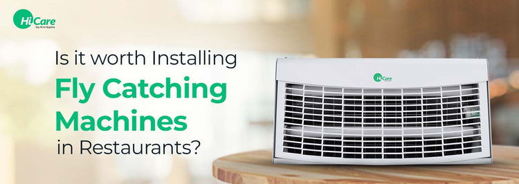 Are Fly Catching Devices Effective for Restaurants?