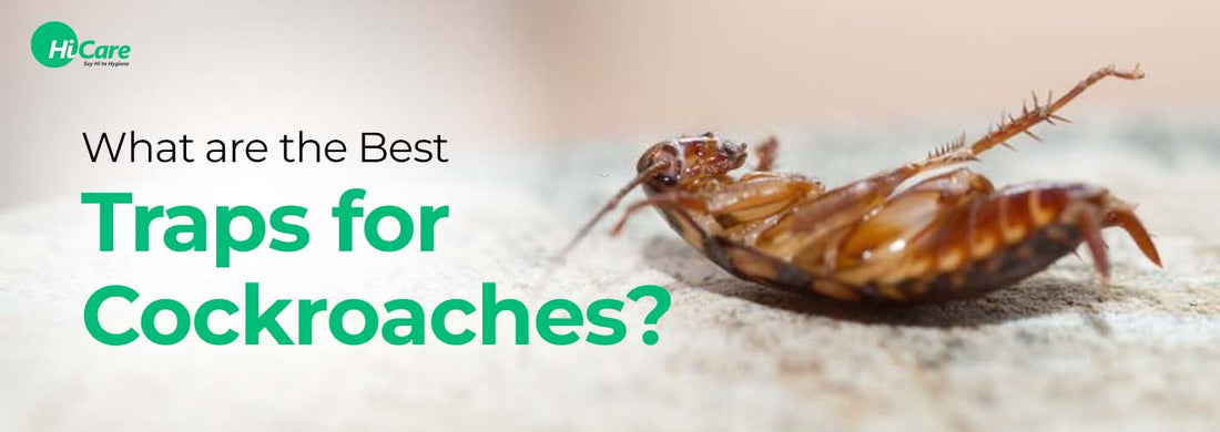 What are the Best Traps for Cockroaches?