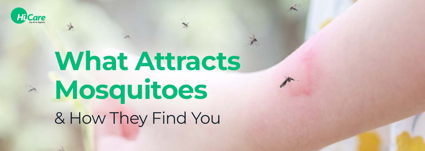 What Attracts Mosquitoes and How Do They Find You?