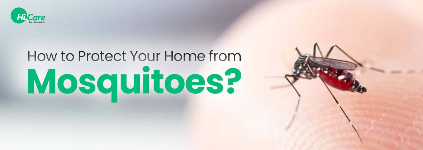 How to Protect Your Home from Mosquitoes?
