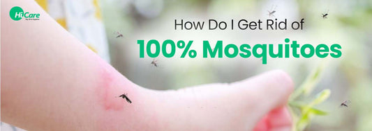How Do I Get Rid of 100% of Mosquitoes?