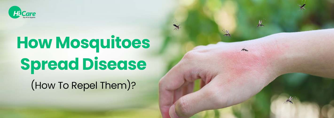 How Mosquitoes Spread Disease (How To Repel Them)?