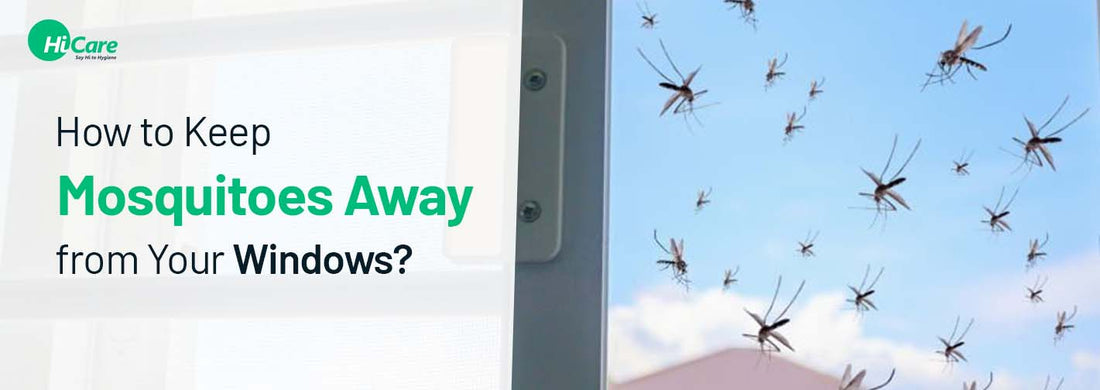 How to Keep Mosquitoes Away from Your Windows?