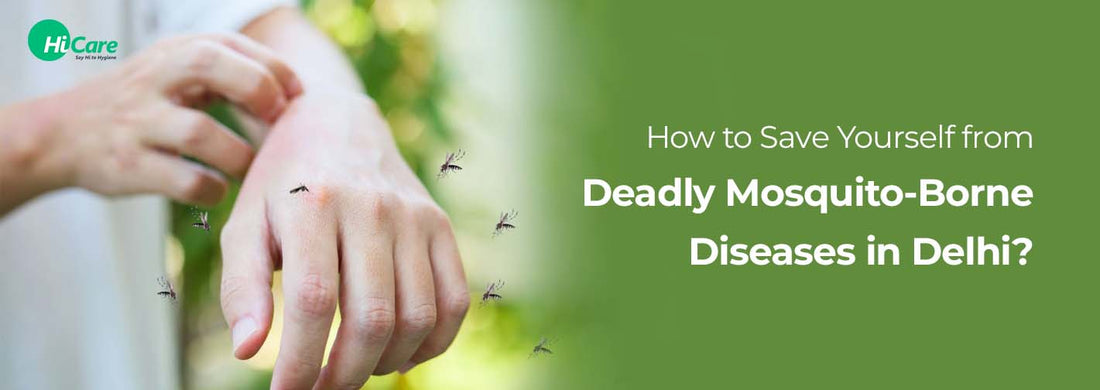 How to Save Yourself from 5 Deadly Mosquito-Borne Diseases in Delhi?