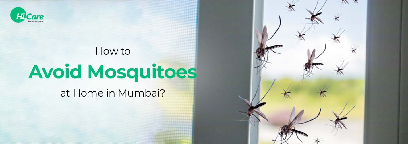 How to Avoid Mosquitoes at Home in Mumbai?