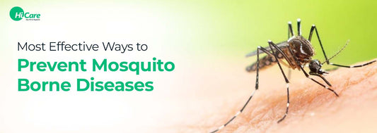 10 Most Effective Ways to Prevent Mosquito-Borne Diseases