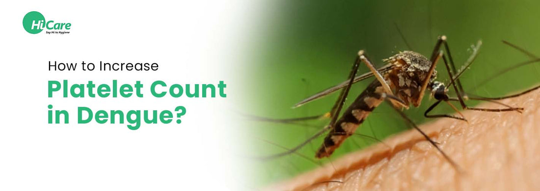 How to Increase Platelet Count in Dengue?