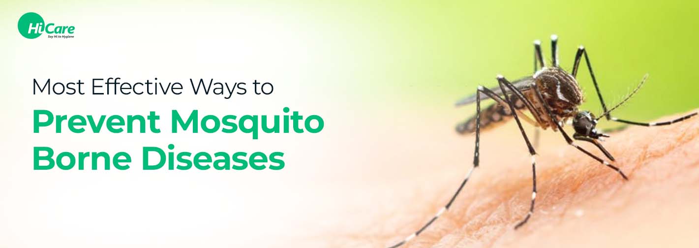 10 Most Effective Ways to Prevent Mosquito-Borne Diseases