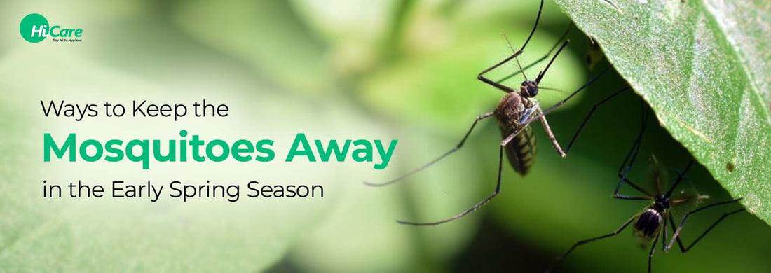 Ways to Keep the Mosquitoes Away in the Early Spring Season