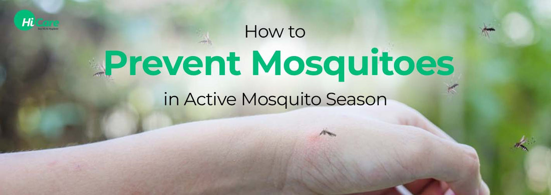 How to Prevent Mosquitoes in Active Mosquito Season