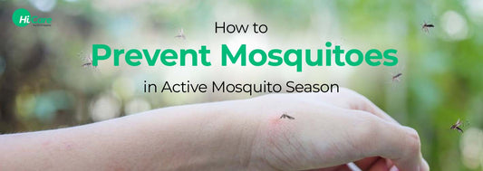 How to Prevent Mosquitoes in Active Mosquito Season
