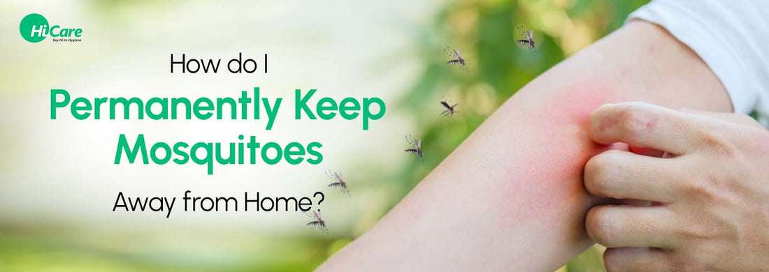 How do I Permanently Keep Mosquitoes Away from Home?