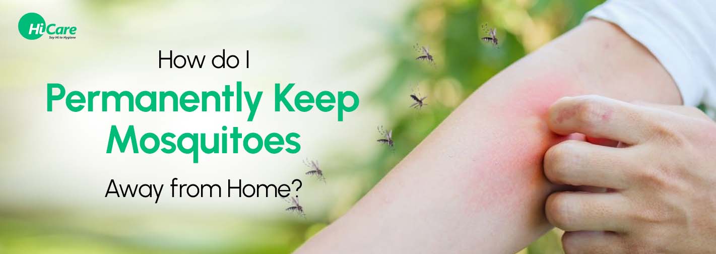 How do I Permanently Keep Mosquitoes Away from Home?