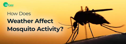 How Does Weather Affect Mosquito Activity?