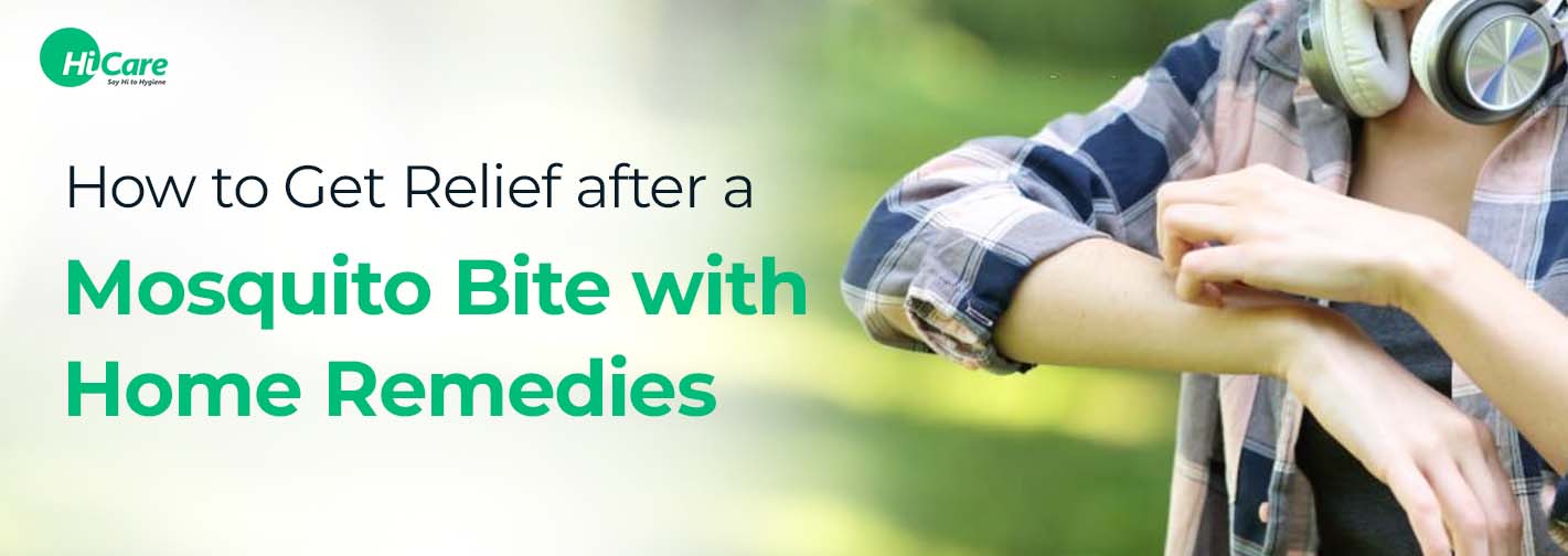 How to Get Relief after a Mosquito Bite with Home Remedies