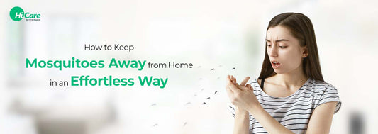 How to Keep Mosquitoes Away from Home in an Effortless Way