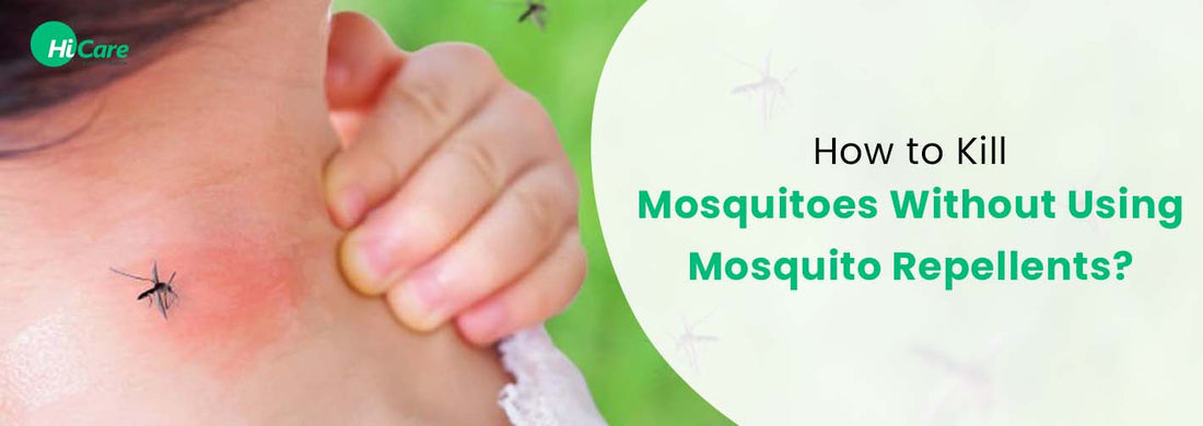 How to Kill Mosquitoes Without Using Mosquito Repellents?