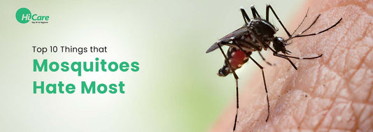 Top 20 Things that Mosquitoes Hate Most
