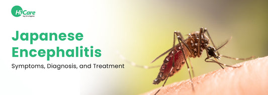 Japanese Encephalitis: Symptoms, Diagnosis, and Treatment