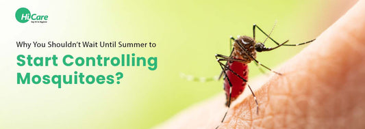 Why You Shouldn’t Wait Until Summer to Start Controlling Mosquitoes?