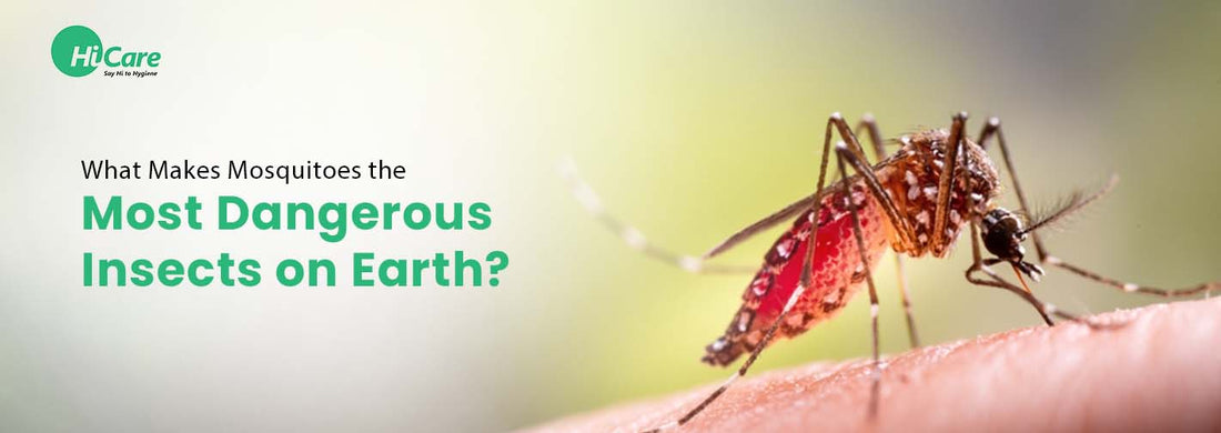 3 Bad Insect Why Mosquitoes Are the Most Dangerous Insects on Earth | HiCare
