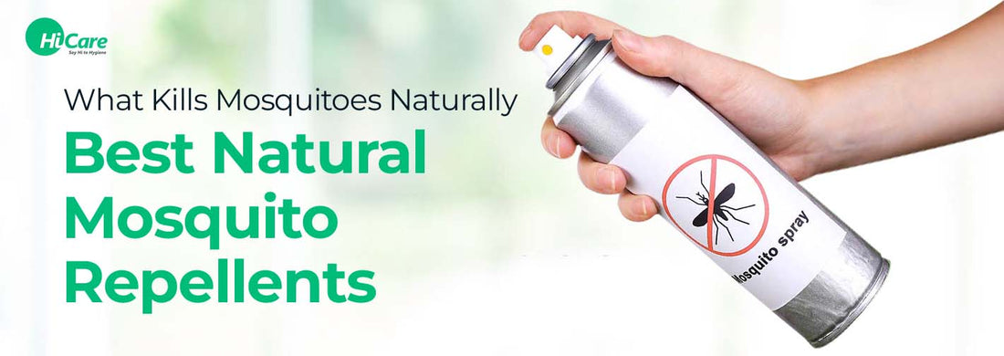 How to Prevent Mosquitoes with Homemade Mosquito Repellents?