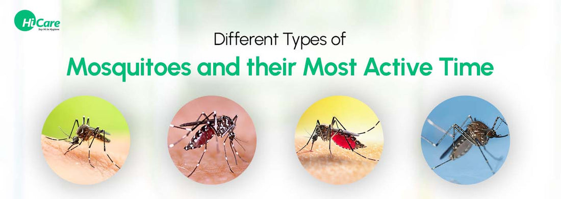 Different Types of Mosquitoes and Their Most Active Time